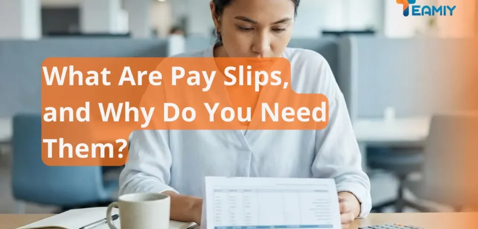 what are pay slips, and why do you need them what are pay slips, and why do you need them